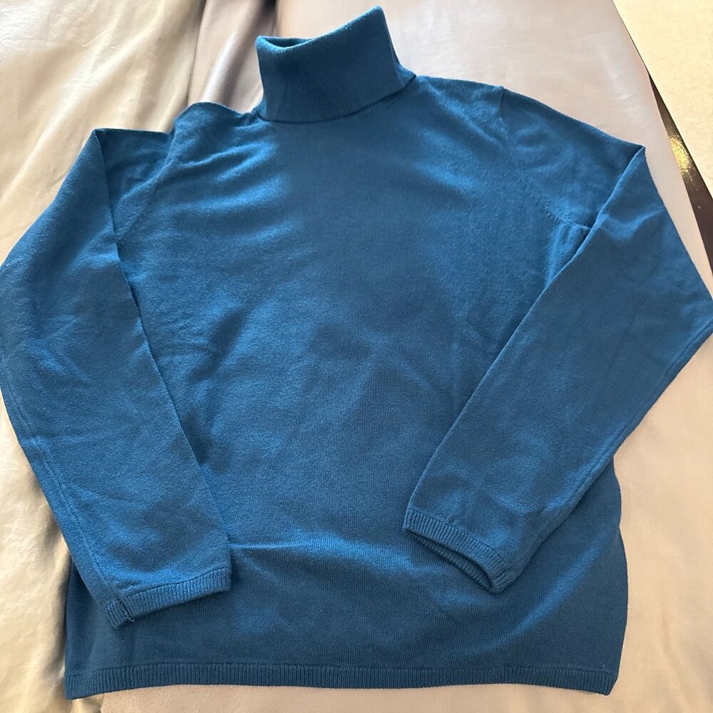 Ann Taylor Turtleneck Sweater